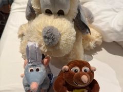 -巴黎迪士尼乐园