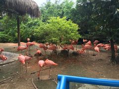 -上海昆虫博物馆