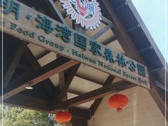 -上海海湾国家森林公园