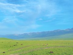 -新疆那拉提国家旅游度假区