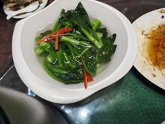 -东鸽皇(奥园·中环广场店)