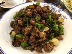 打野小公鸡-光辉公鸡馆(事业小区店)