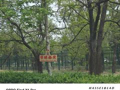-秦皇岛野生动物园