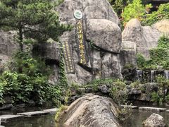 -大围山国家森林公园
