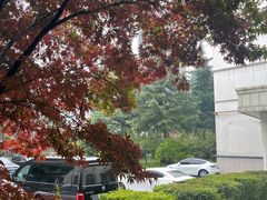 -曲江惠宾苑宾馆(大雁塔大唐不夜城店)