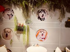 -Husky Go! 哈士奇体验馆·宠物咖啡厅狗咖