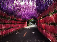 -大芦花风景区