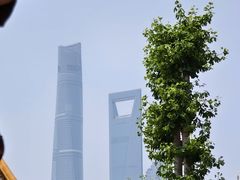 -钦赐仰殿道观