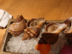 -松涛日本料理