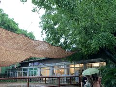 -马咖啡macup·意式轻餐·观景餐厅