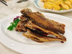 秘制小黄鱼-章氏(车站北路店)