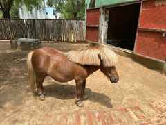 -鄂尔多斯野生动物园