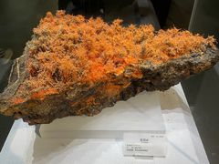 -湖南省地质博物馆