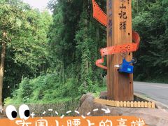 -大围山国家森林公园