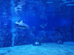 -成都浩海立方海洋公园