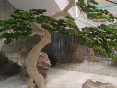 -碧丽宫大酒店(召稼楼店)