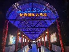 -广州长隆国际大马戏