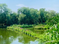 -长春市南湖公园