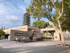 -上海吴淞炮台湾国家湿地公园