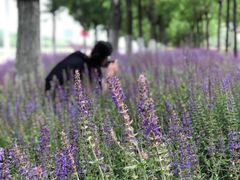 -北运河水利风景区
