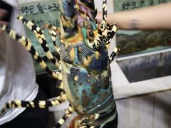 -海盗餐厅