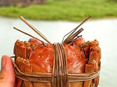 -七的湖·江南蟹舫·阳澄湖农家菜(蟹舫苑店)