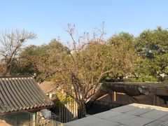 -糖房咖啡(南锣鼓巷店)