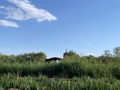 -永定河休闲森林公园