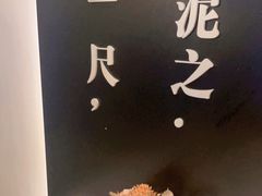 -圆苑(金茂店)