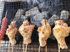 辣鸡腿-吴淞炮台湾湿地森林公园烧烤区