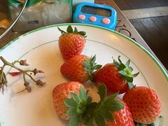 -亚马逊蒸汽活海鲜自助(长宁来福士店)