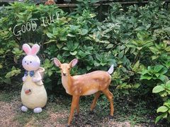 -上海共青森林公园