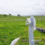 橙游新疆 | 520献给自己的一组自拍婚纱照