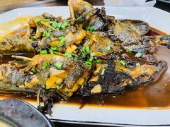 -观桥阁(锦溪店)