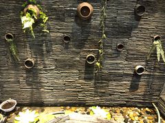 -一只烧鸡公(解放碑店)