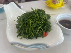 枸杞苗凉菜-老毛手抓·盐池滩羊非遗手抓(宁夏总店)
