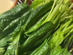-东门口·新式老北京火锅(河西龙湖天街店)