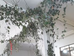 -姚记抚仙湖石锅鱼庄