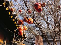-四喜小胖·北京涮肉(五道营店)