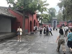-洛阳白马寺