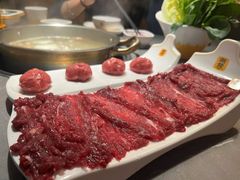 -潮发潮汕牛肉店(东方宝泰店)