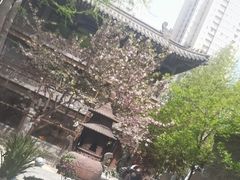 -罔极寺