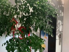 -锋味餐厅(空港复悦里店)