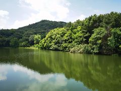 -白马涧龙池景区