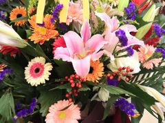 -宏宴·新京菜(望京店)