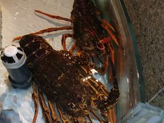 -万龙洲海鲜(南新仓店)