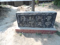 -曹州牡丹园