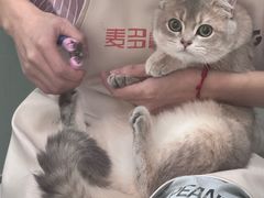 -四月宠物医院·猫专科·心脏专科·内科(转塘店)