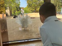 -宁波九龙湖开元度假村