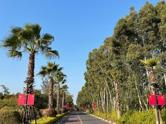 -五缘湾湿地公园